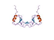 1dom​: Rešenje strukture monocit hemoatraktant protein-1 dimera, NMR, minimizovana srednja struktura