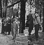 Pančevo executions