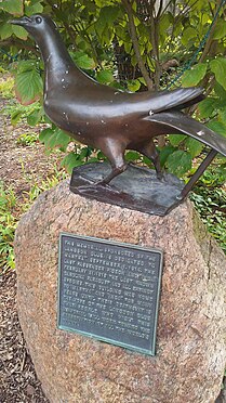 Passenger Pigeon memorial at Cincinnati Zoo.jpg