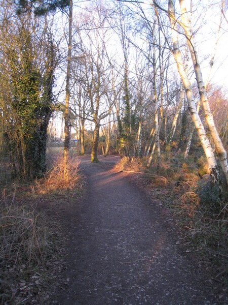 File:Path on Silchester Common - geograph.org.uk - 1750459.jpg