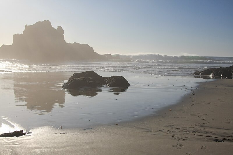 File:Pfeiffer State Beach Reflection.JPG