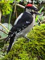 Nisqually National Wildlife Refuge