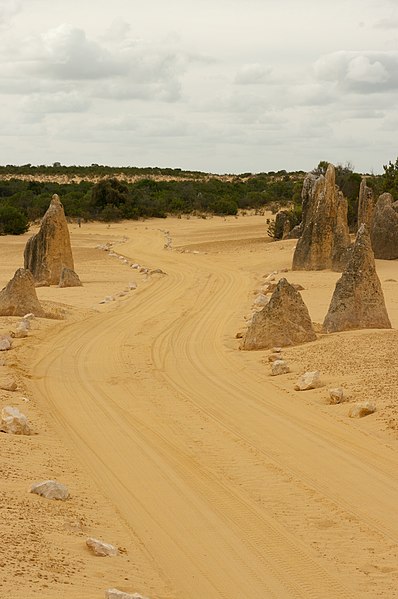 File:Pinnacles gnangarra-35.jpg