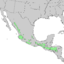 Pinus oocarpa range map 1.png