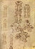 Pisanello, disegni, mřížka 2295 r.jpg