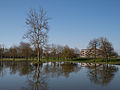 * Nomination Plane tree in a mini lake in Olarizu Park. Vitoria-Gasteiz, Basque Country, Spain by User:Basotxerri 20:49, 15 March 2016 (UTC) * Promotion This one might be a bit sharper, but I think it is good enough to be a Q1image --Michielverbeek 23:36, 15 March 2016 (UTC)