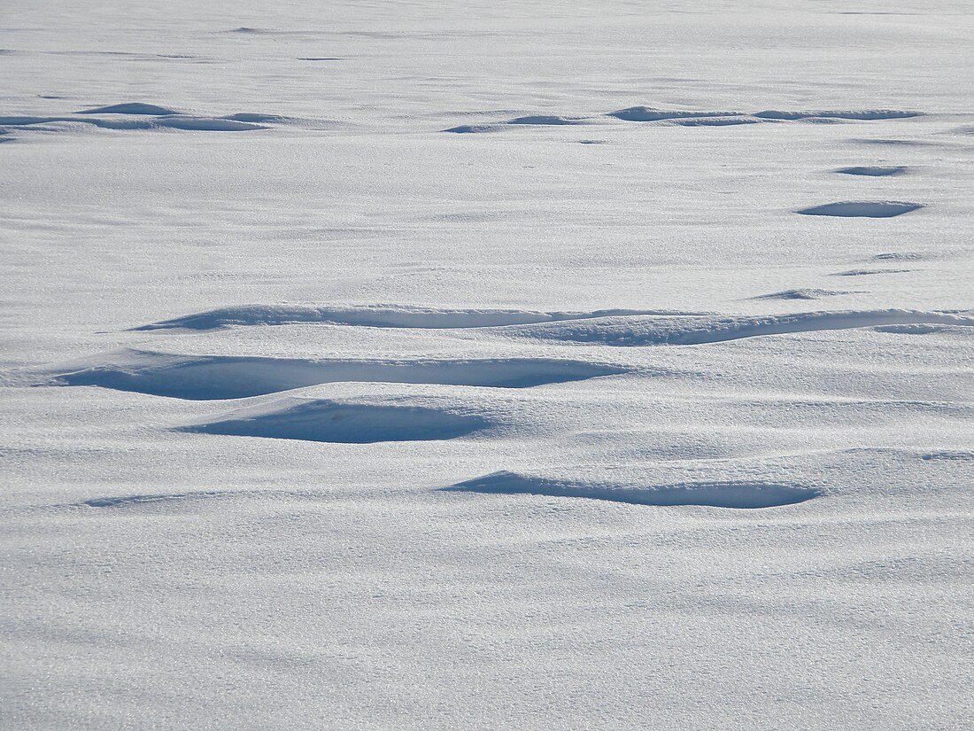 積雪