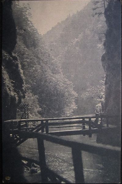 File:Postcard of Vintgar Gorge 1941-45.jpg