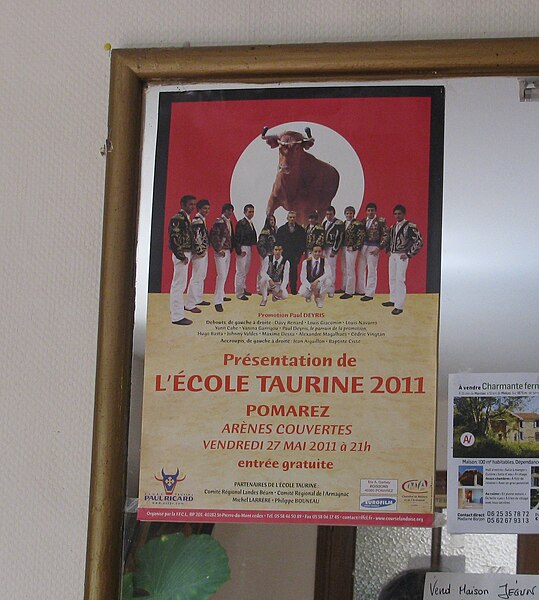 File:Présentation de l'école taurine de Pomarez.JPG