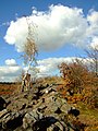 Čeština: Přírodní rezervace Divoká Šárka v Praze v říjnu 2008 nápověda English: Natural reserve Divoká Šárka in Prague in October 2008 help Русский: Парк "Дивока Шарка" (Divoká Šárka) в Праге в oктабре 2007 года