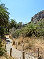 * Nomination Palm forest of Preveli, Crete --Uoaei1 13:59, 22 November 2014 (UTC) * Promotion QI for me. --C messier 15:05, 24 November 2014 (UTC)