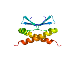 Белок CDCA8 PDB 2KDD.png