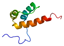 پروتئین PKNOX1 PDB 1x2n.png