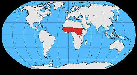 Ptilostomus distribution map.jpg