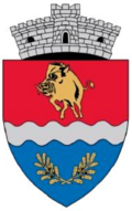 Wappen von Chevereșu Mare