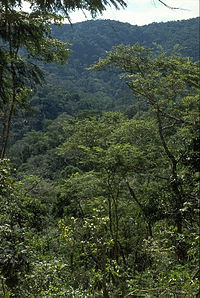 Feliciano Miguel Abdala Private Natural Heritage Reserve