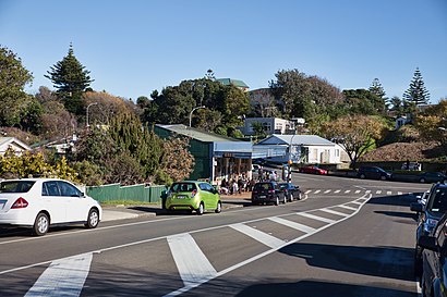 How to get to Raumati South with public transport- About the place