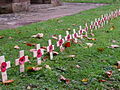 Kleine Gedenkkreuze aus Holz, jeweils mit künstlicher Mohnblume und engl. Inschrift „In Remembrance“