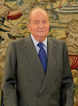 I. János Károly 2013-ban