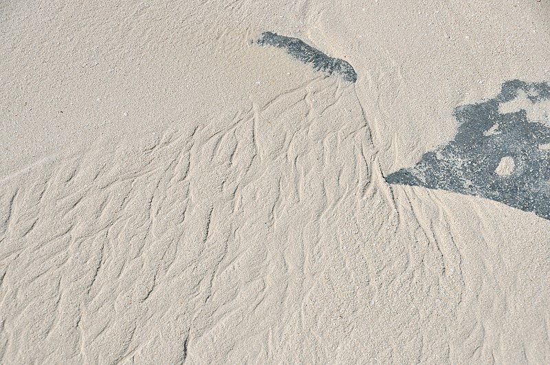 File:Rhomboid ripples on aragonite sand beach (San Salvador Island, Bahamas) 12 (15360705183).jpg