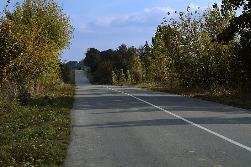 File:Rivnens'kyi district, Rivnens'ka oblast, Ukraine - panoramio - любком.jpg