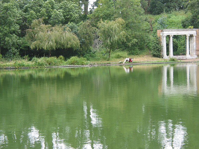 File:Rob diving into the yucky lake (14095056).jpg