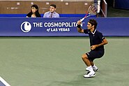 Roger Federer at the 2010 US Open 04.jpg