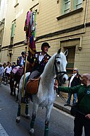 Federació De Colles De Sant Medir: Història, Colles de Sant Medir, Referències