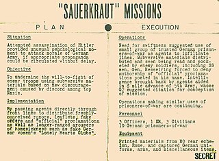 <span class="mw-page-title-main">Sauerkraut missions</span>