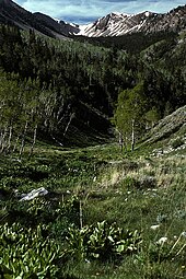 Timber Creek in the Schell Creek Range SchellCrRange.jpg