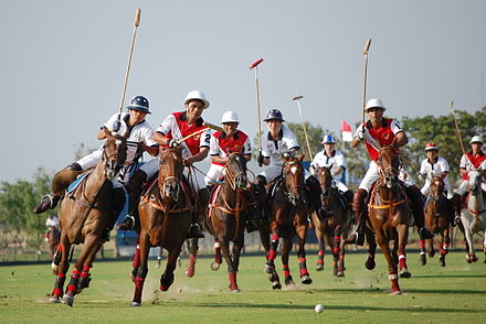 Indonesia plays against Thailand in SEA Games Polo 2007