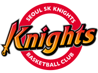 Seoul SK Knights 서울 SK 나이츠 logo