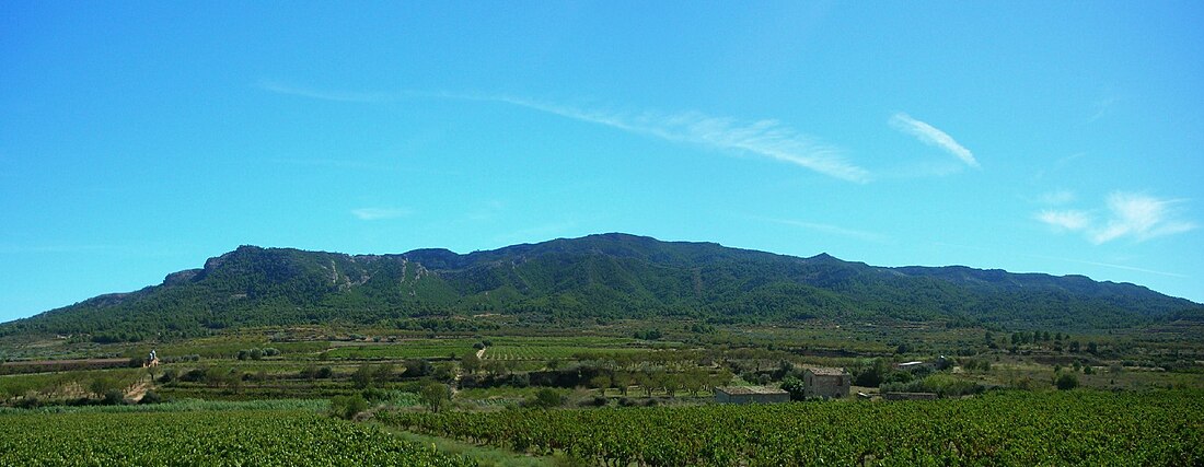 Serra de Cavalls