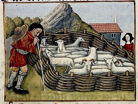Shepherd with sheep in woven hurdle pen. Medieval France. 15th century, Bodleian Library, MS Douce 195