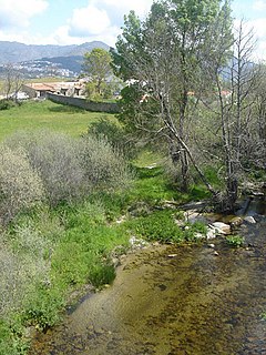 Sierra de Gata (comarca) Comarca in Extremadura, Spain
