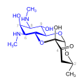 Spectinomycin (blau: Actinamin-Struktur)