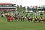 Spruce Meadows Spruce-Meadows-Szmurlo.jpg