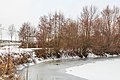 pohled na Střevačský rybník