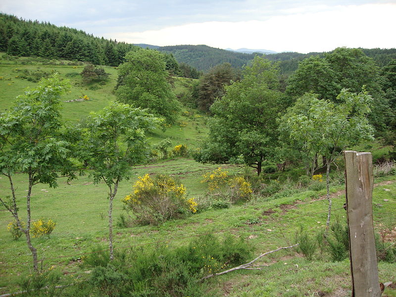 File:St.Pal-de-Mons (Haute-Loire, Fr) paysage.JPG