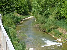 Die Steinlach in Ofterdingen, kurz vor Beginn des Ammonitenpflasters