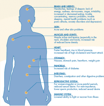 English: Effects of stress on the body.