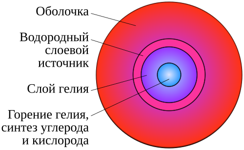 Строение красных. Строение звезд красных гигантов. Строение красного гиганта. Внутреннее строение красного гиганта. Модель красного гиганта строение.