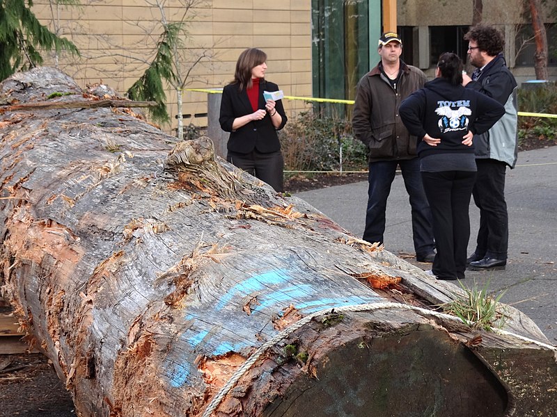 File:Students Stand by Log for Carving of Native Canoe - Outside First Peoples House - University of Victoria - Victoria, BC - Canada (8469124239).jpg