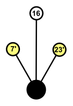 Subgroup of Oh; V yellow white 16; cycle graph.svg