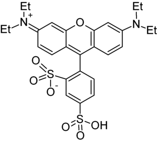 <span class="mw-page-title-main">Sulforhodamine B</span> Chemical compound