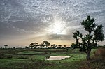 Thumbnail for File:Sunrise after the first rains.jpg