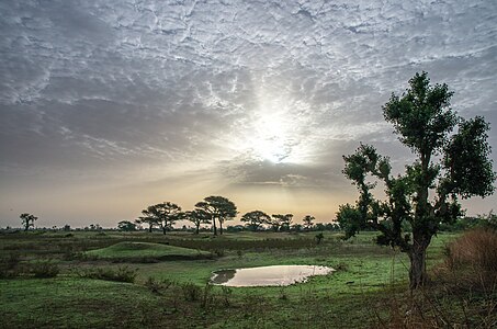 Sunrise after the first rains Photographer : User: NoahElhardt