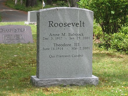 Gravestone of Theodore Roosevelt III