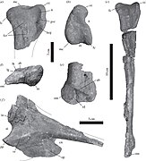 Tachiraptor 20 января 2018 года