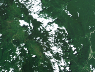 <span class="mw-page-title-main">Star Mountains</span> Mountain range in Indonesia